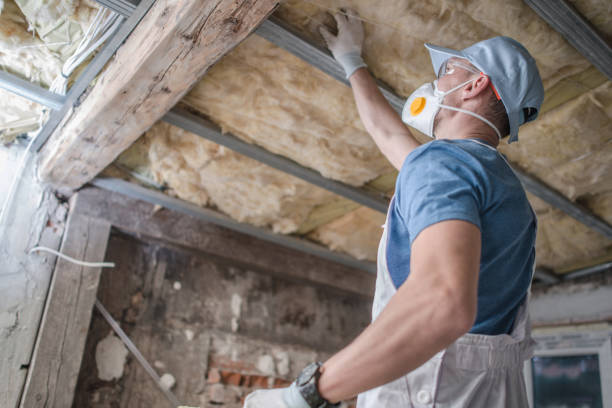 Best Attic Insulation Installation  in Youngstown, OH