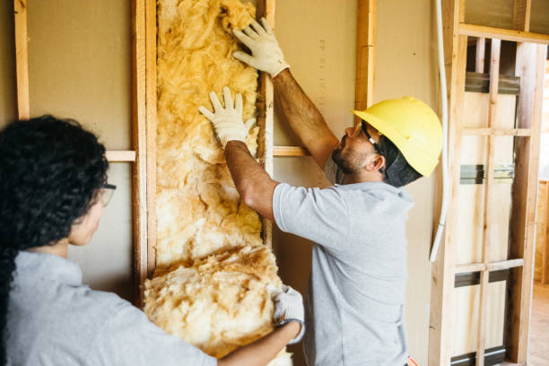 Professional Insulation in Youngstown, OH